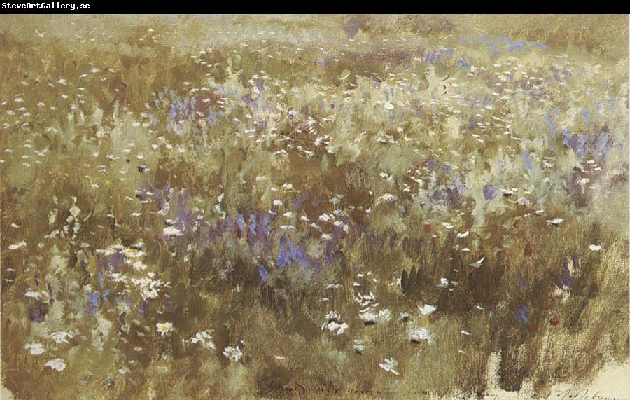 Levitan, Isaak Bluhende meadow